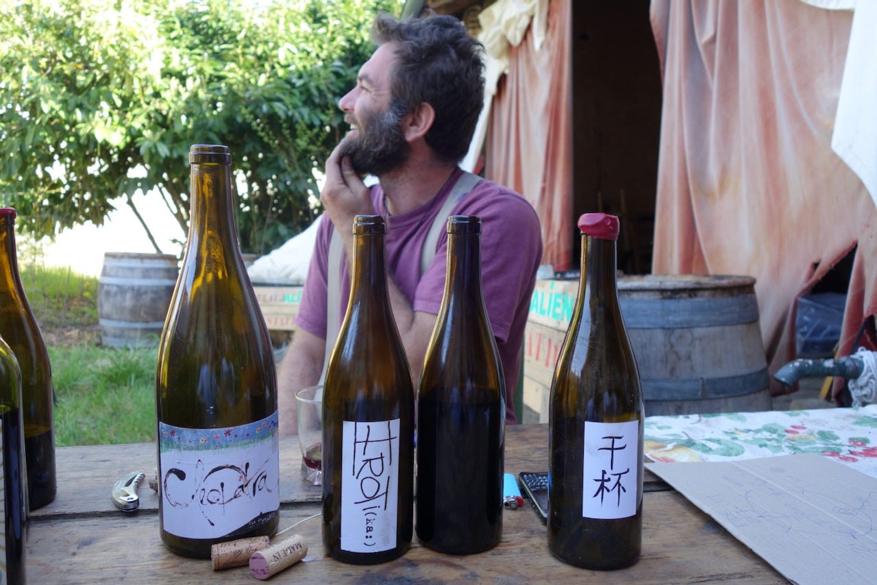 Fall 2023 Natural Wine Salons - by Aaron Ayscough