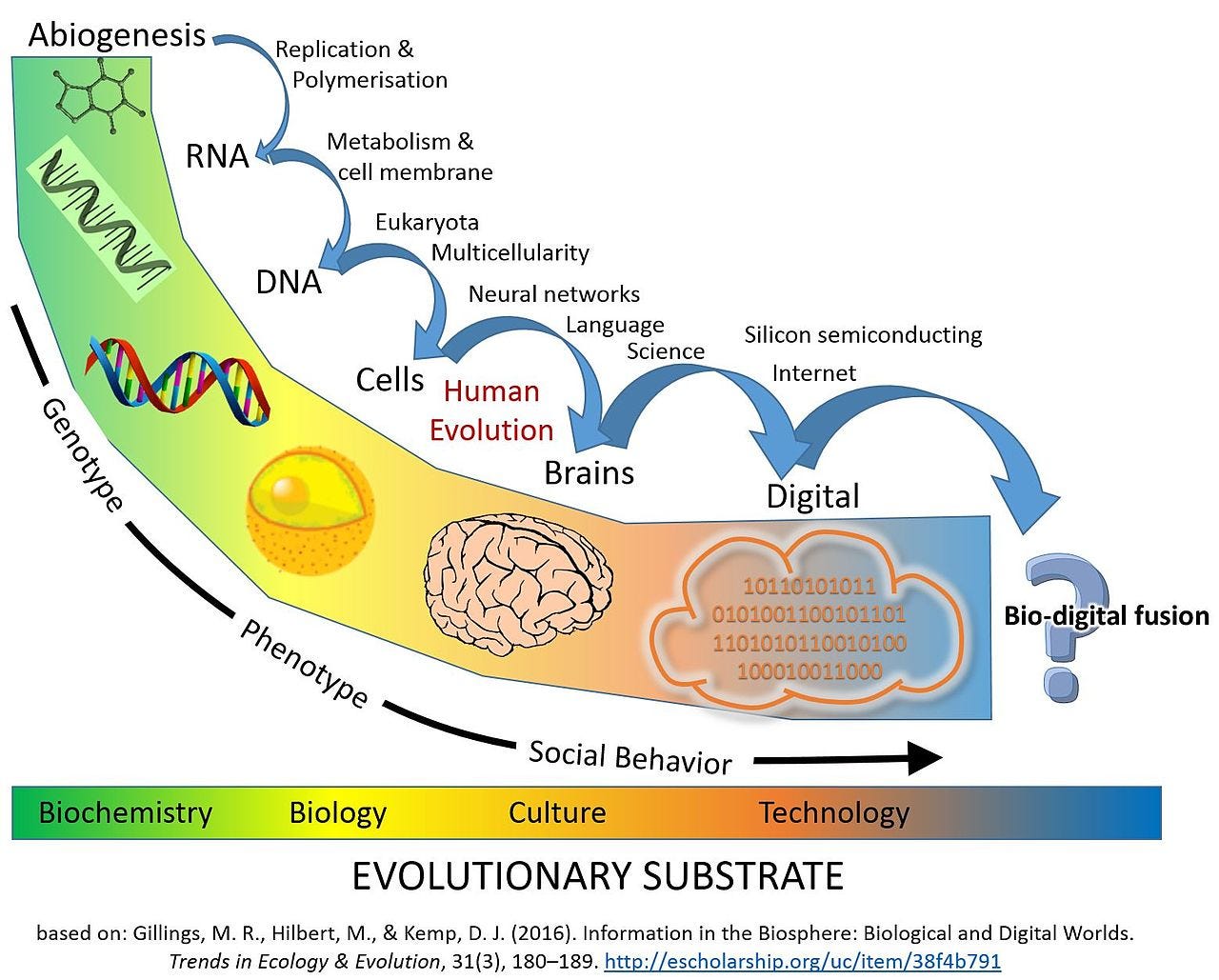 Symbiogenesis - Wikipedia