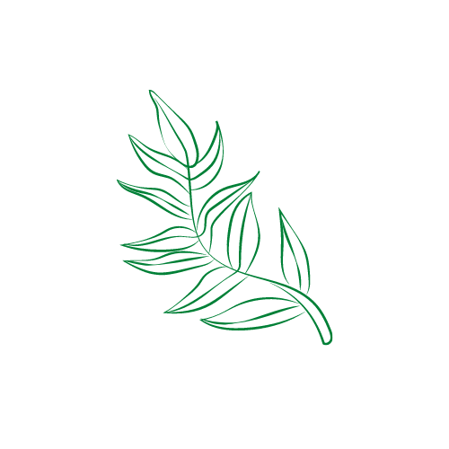 New Leaf logo