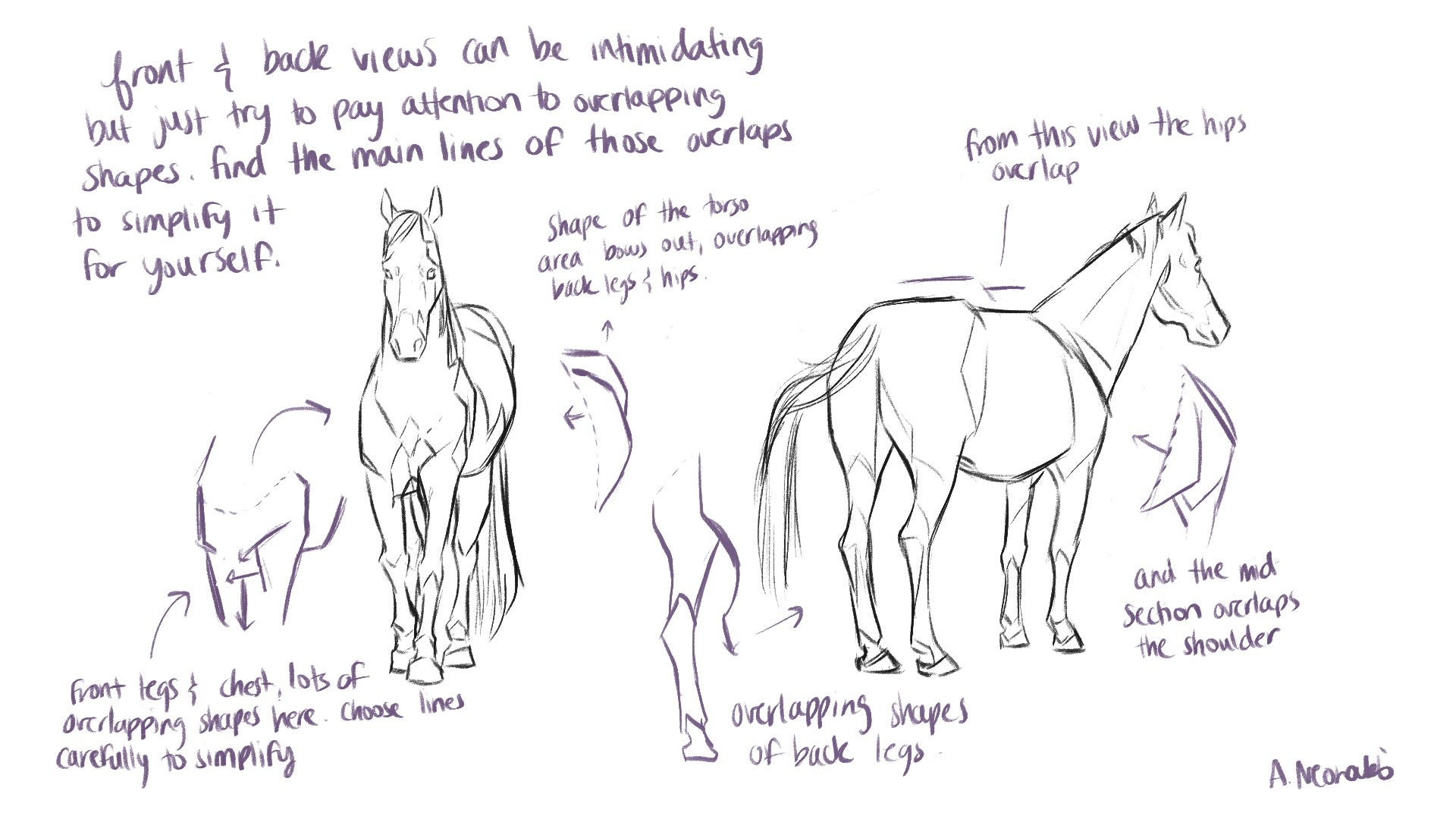 How I Draw Horses – Golden Wood Studio