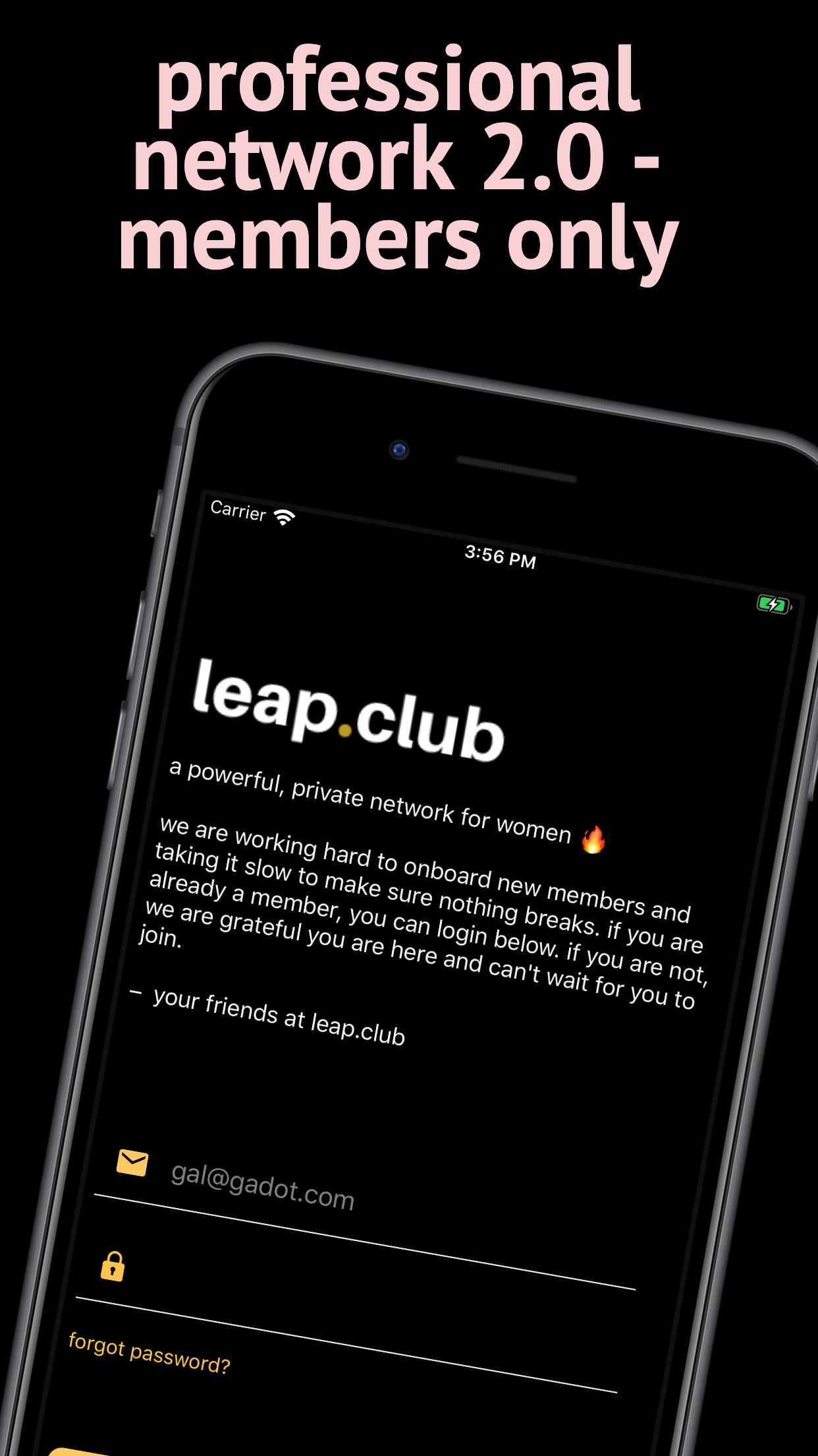 So we turned 6 months old - leap.club blog