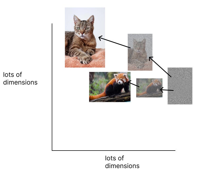 Animal Diffusion