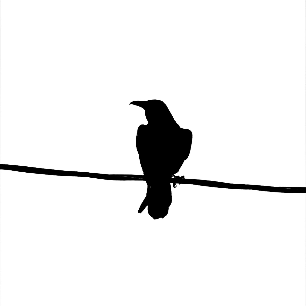 Crow Writer logo