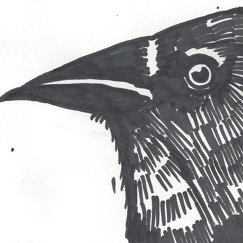Artwork for The Raven