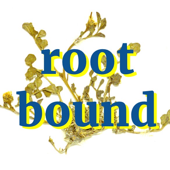 Artwork for Rootbound