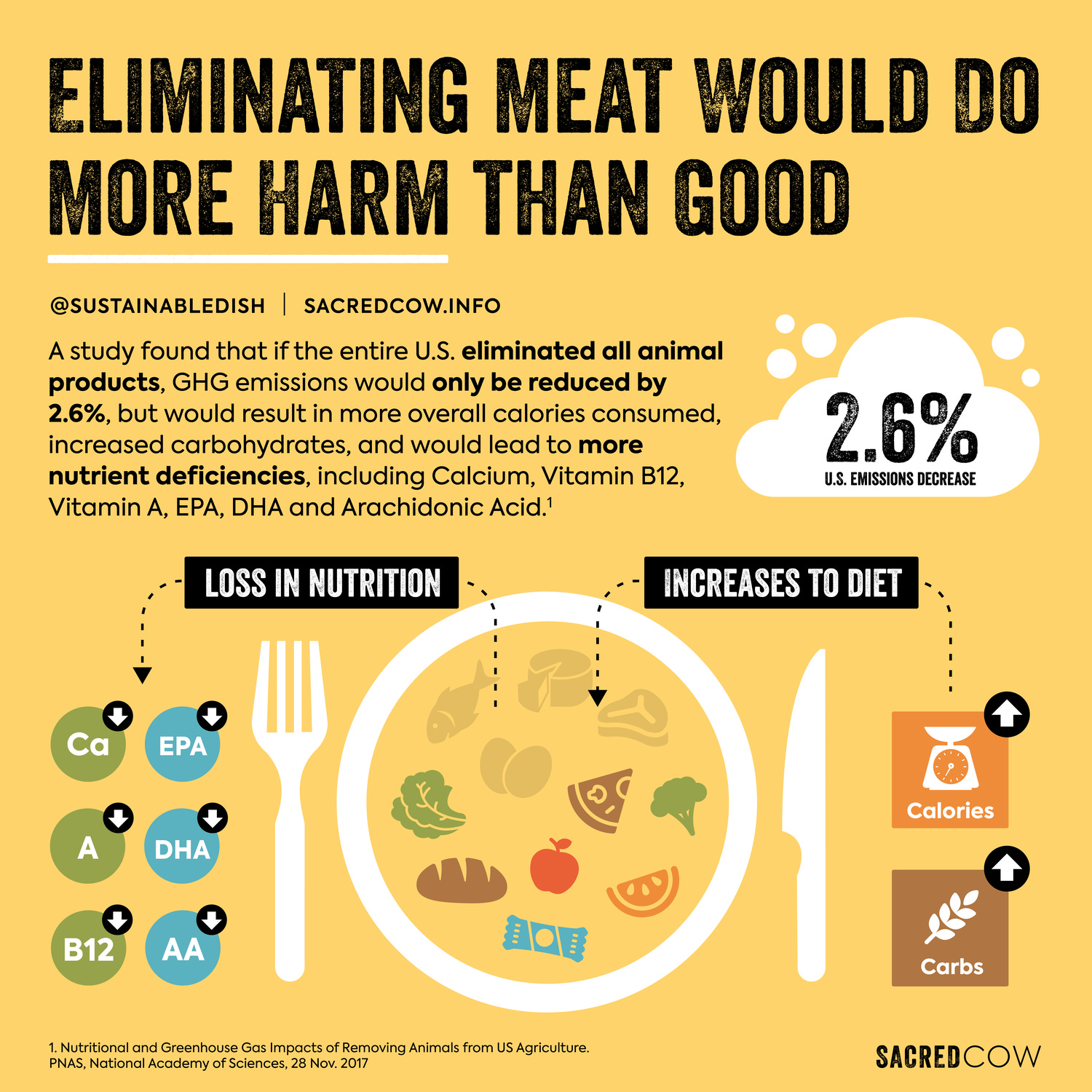 The Importance of Quality Meat · The Healthy Hippie Blog