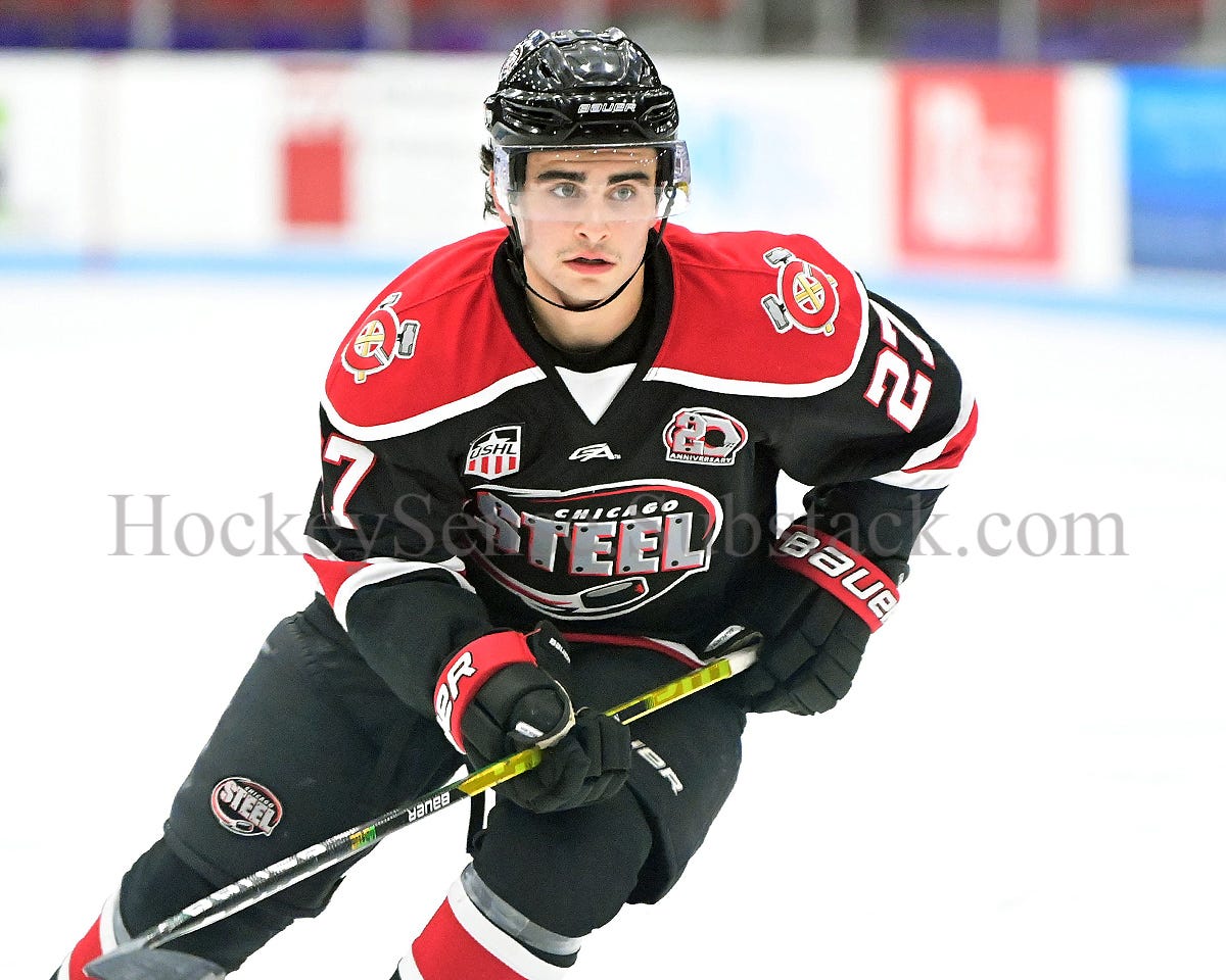 Prospect Roundup: Touching Base with the USHL - The Hockey News