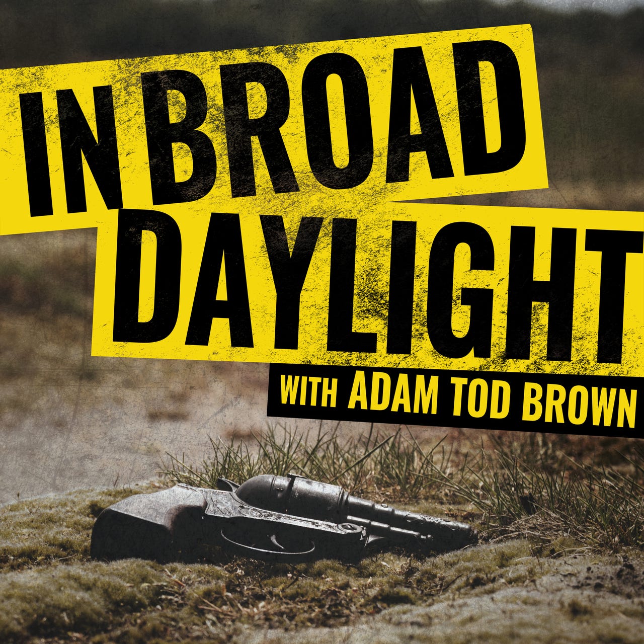 Artwork for In Broad Daylight