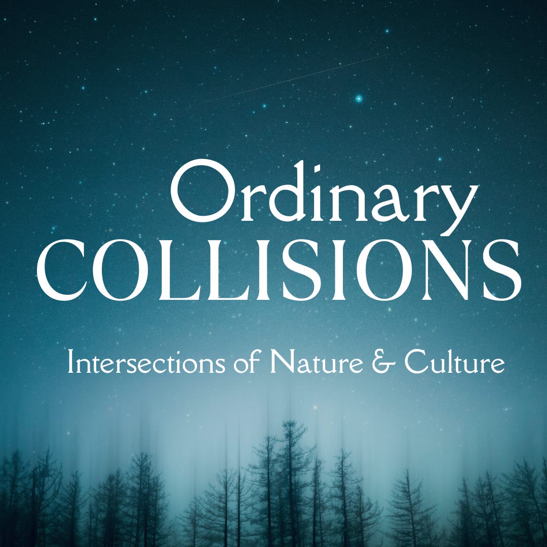 Artwork for Ordinary Collisions: Intersections of Nature & Culture