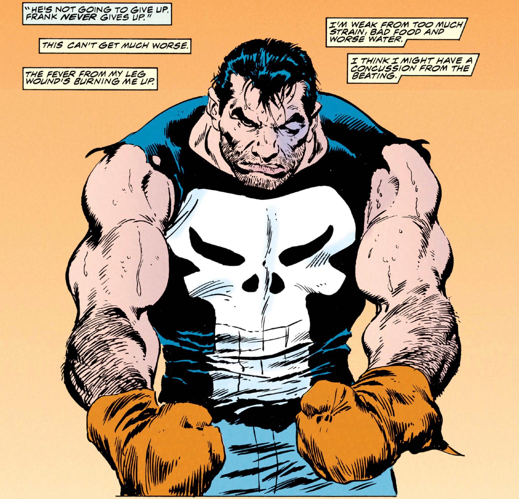 The Punisher is the best pop culture depiction of PTSD in America