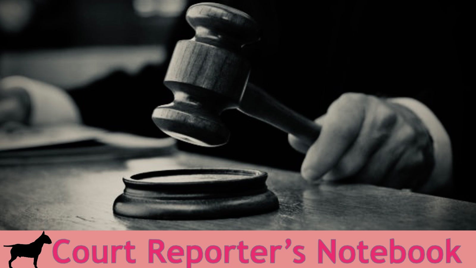 Court Reporter's Notebook: Cases Followed by Robert Cox