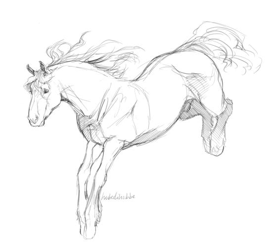 Horse Study - Pencil Drawing by Ramesh Mahalingam - Pixels