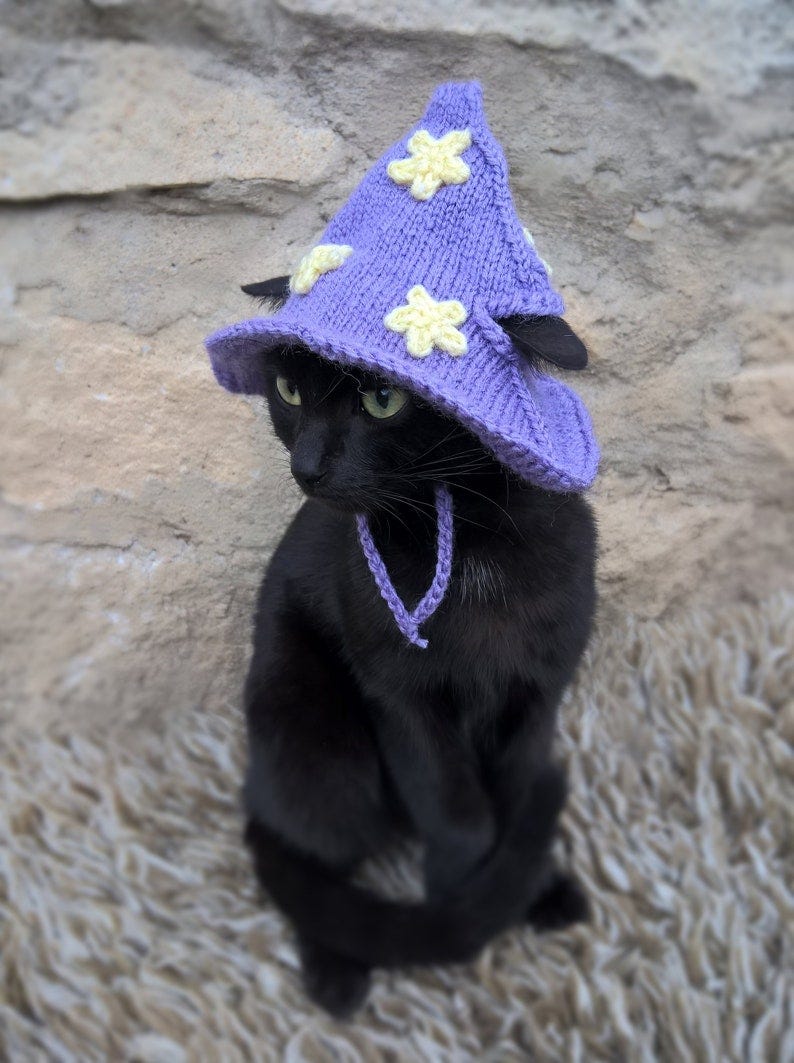 Witch Hat for Cats