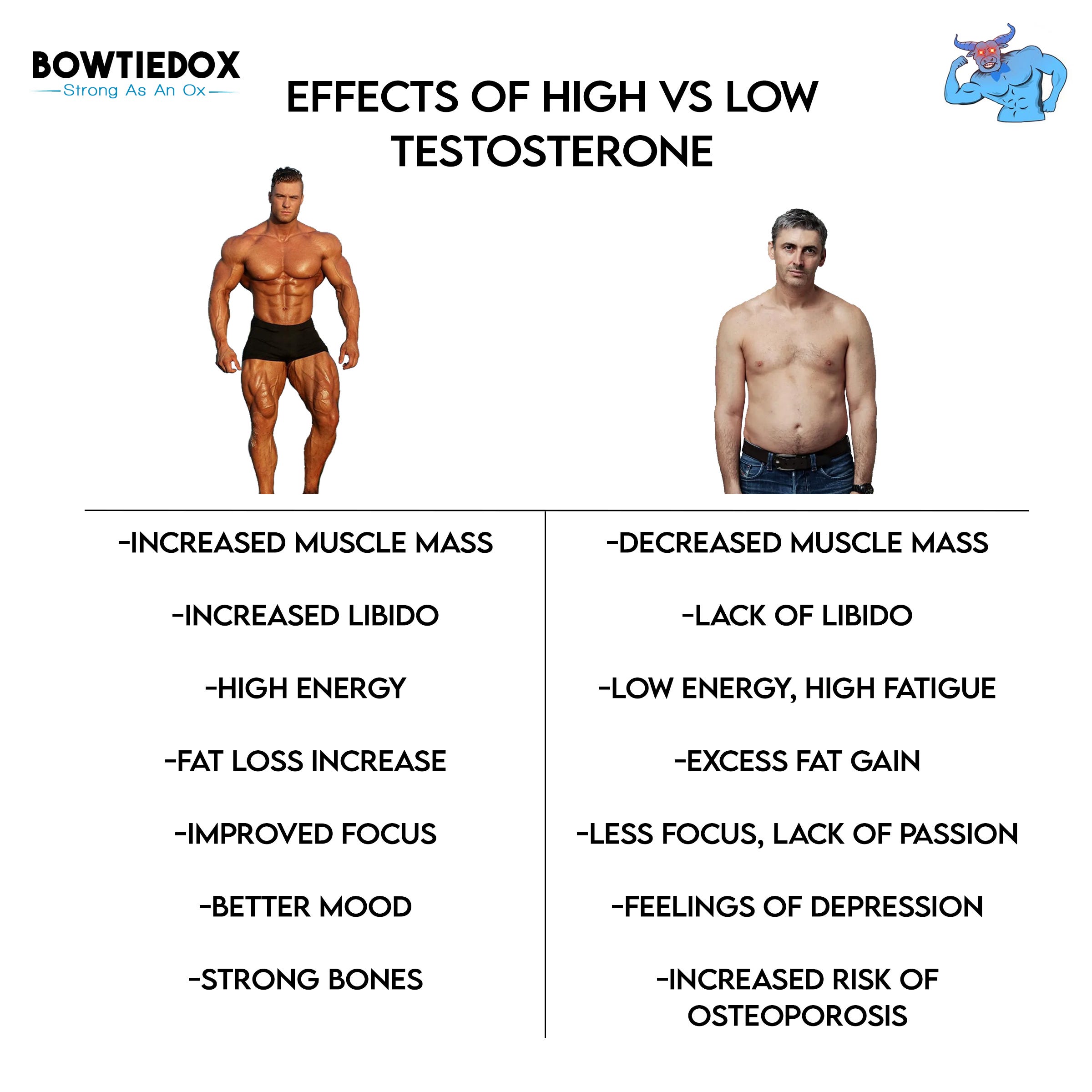 Testosterone For Fat Loss