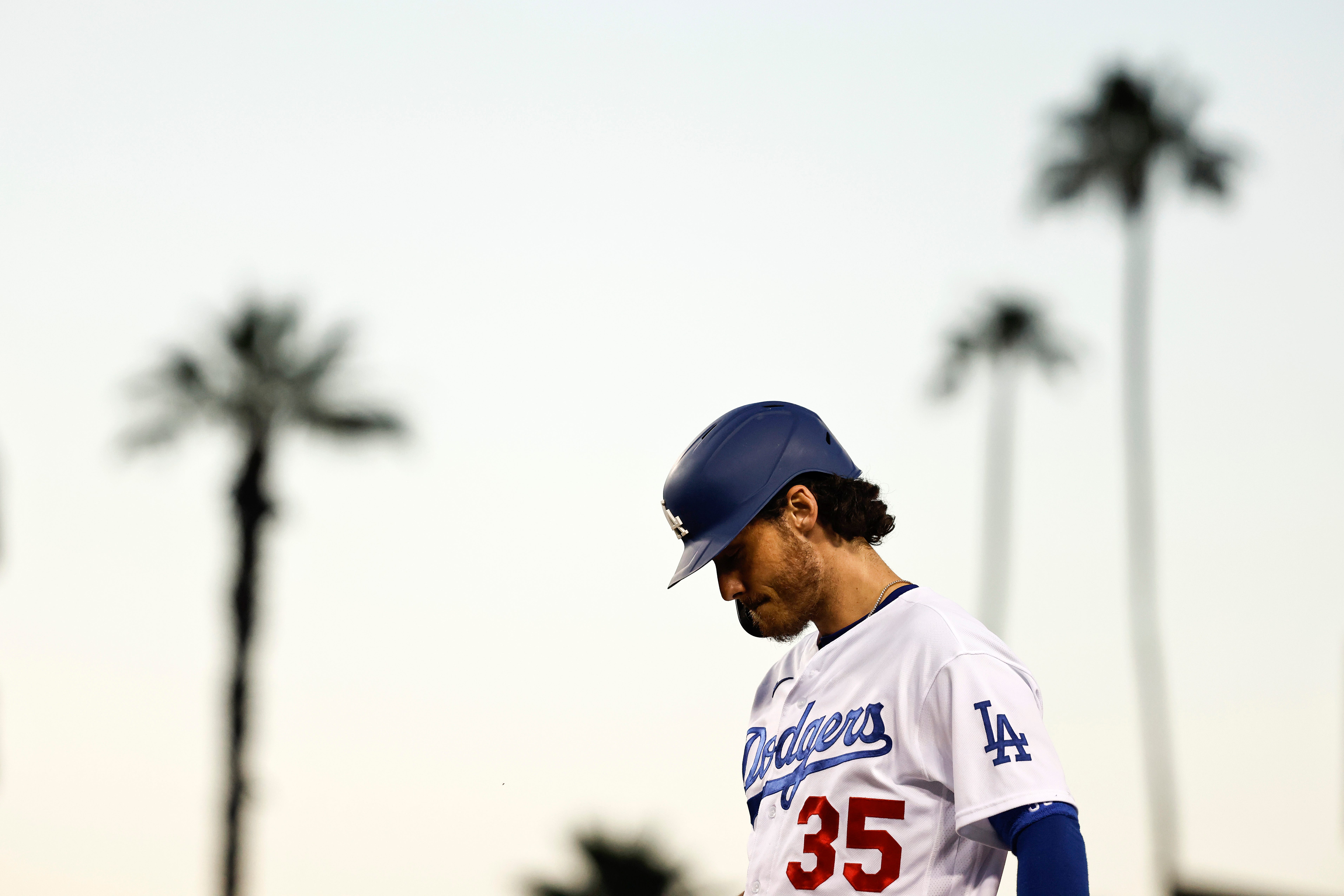The Curious Case of Cody Bellinger - by Molly Knight