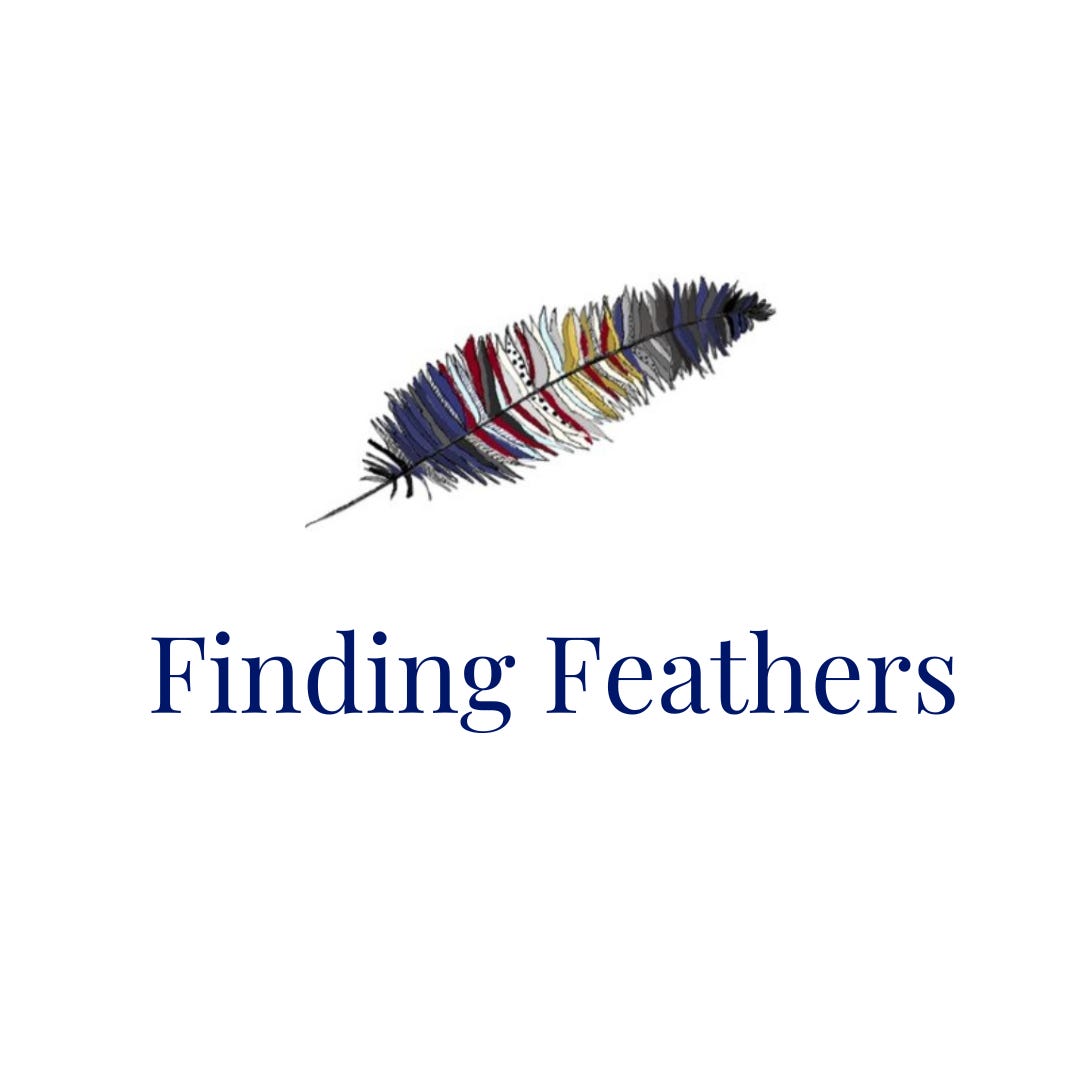 Artwork for Finding Feathers