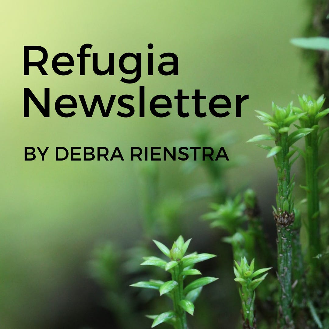 Artwork for Refugia Newsletter