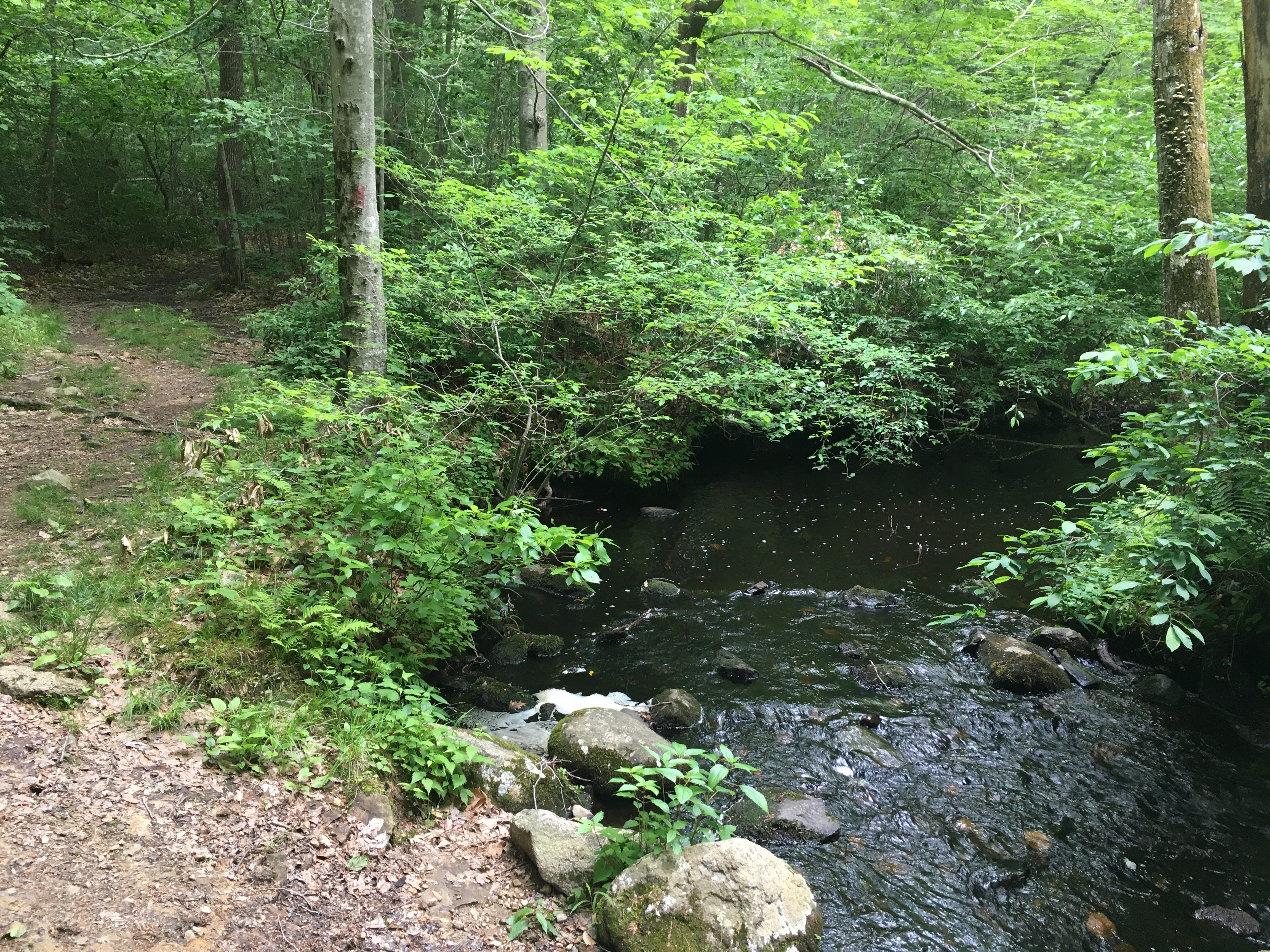 by Miles Howard picture