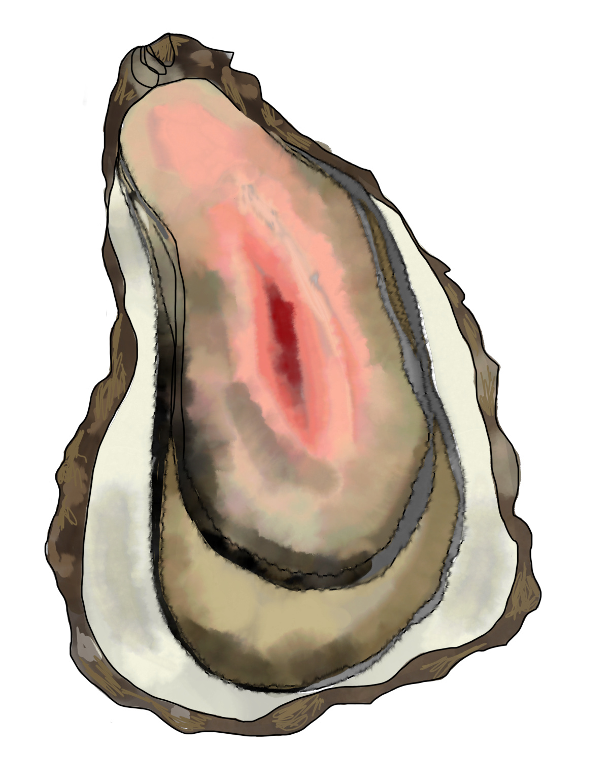 An Oysters Burden picture image