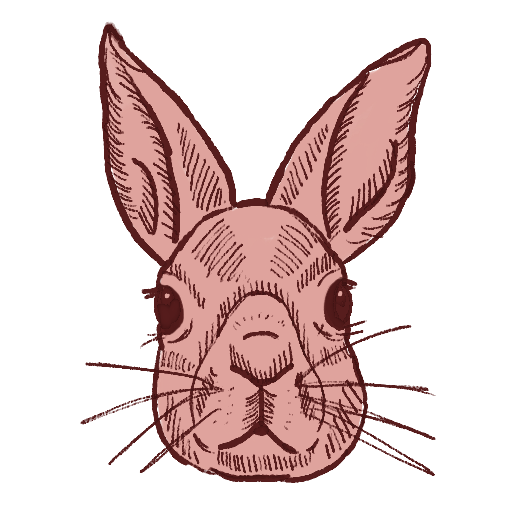 head of a rabbit