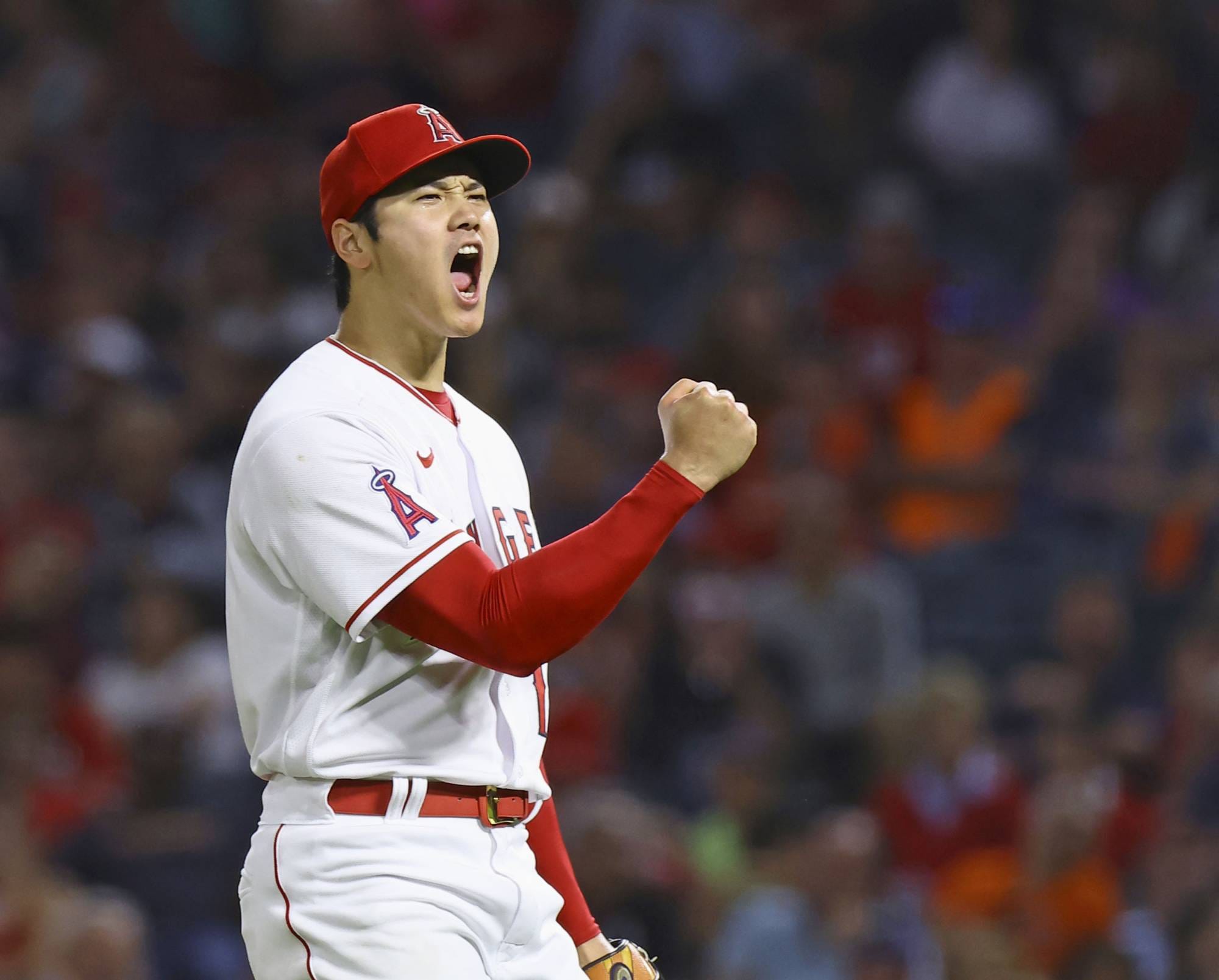 Forget Juan Soto.. what about Shohei Ohtani?