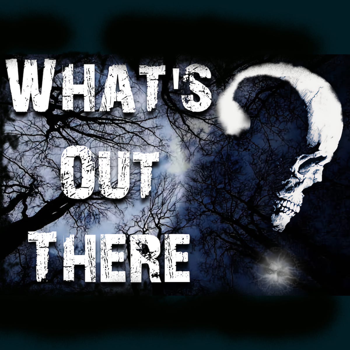 What's Out There? logo