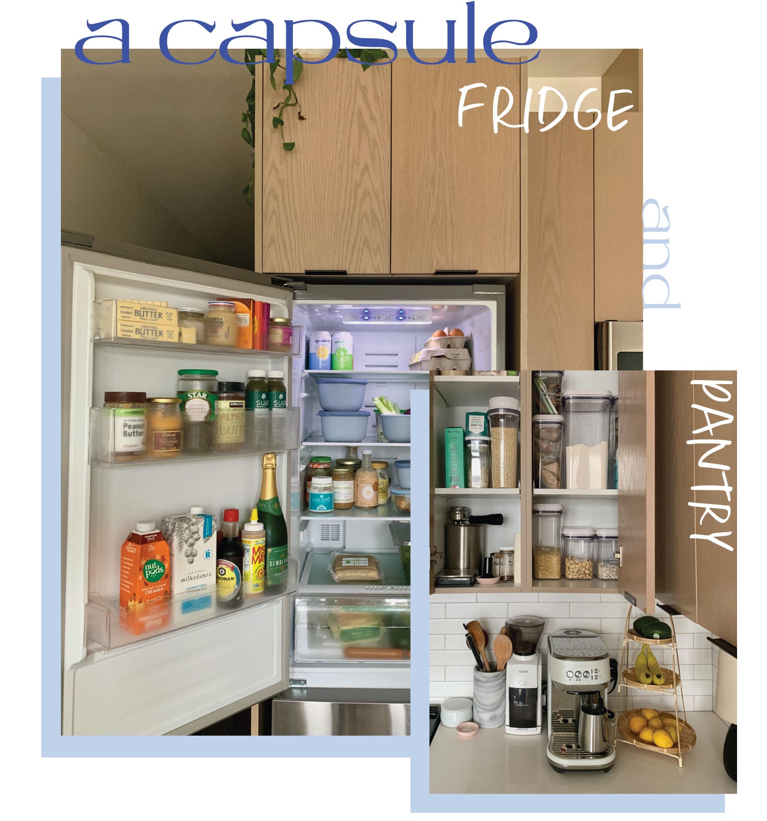 My Fridge Organization System and How It Helps Me Cook Off the Cuff, Wit &  Delight
