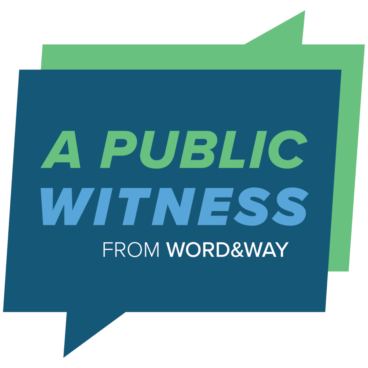 Artwork for A Public Witness