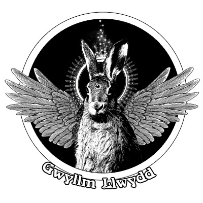 Artwork for Gwyllm’s Newsletter