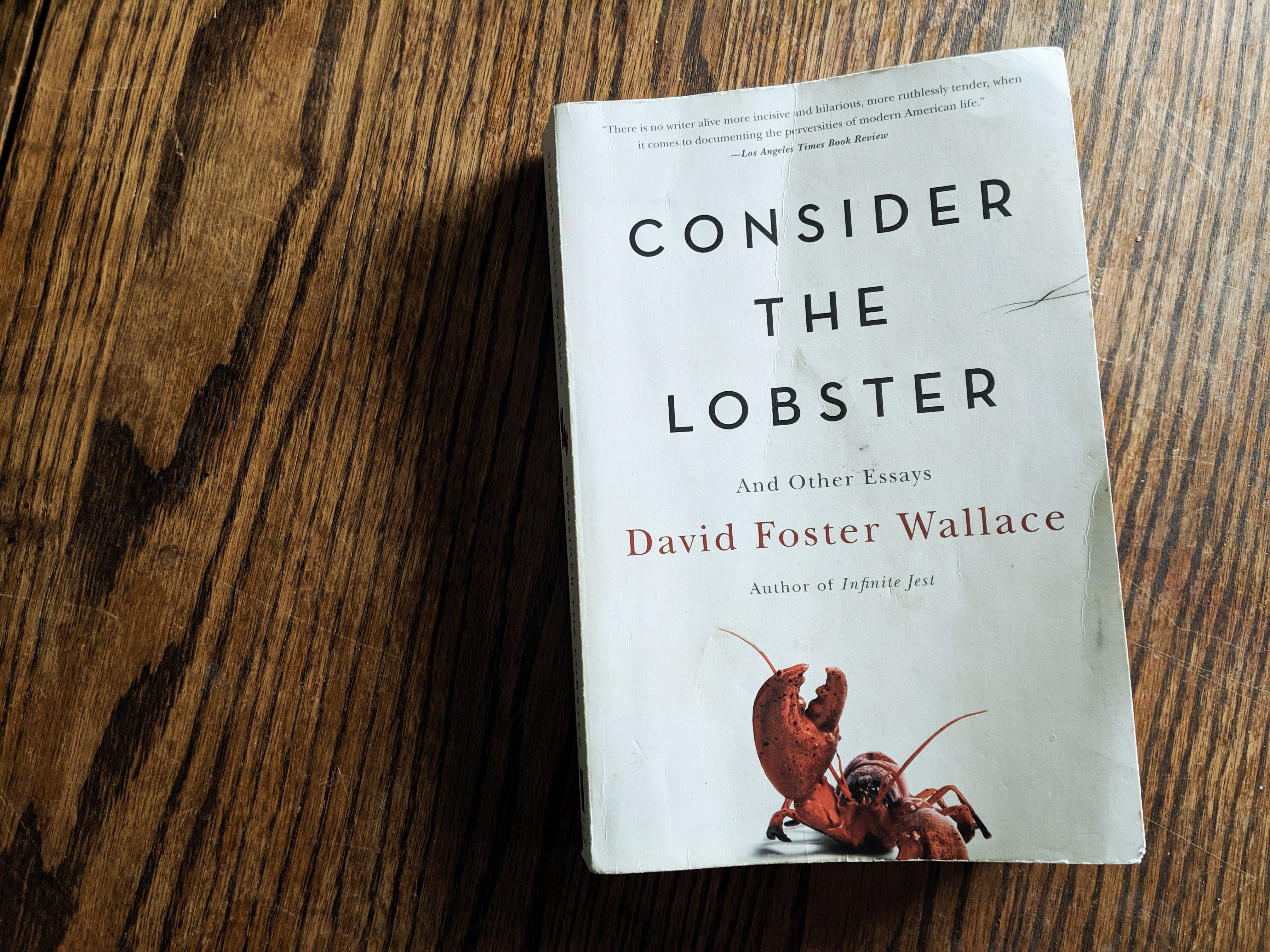 David Foster Wallace On What It Means To Think 