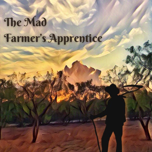 Artwork for The Mad Farmers Apprentice