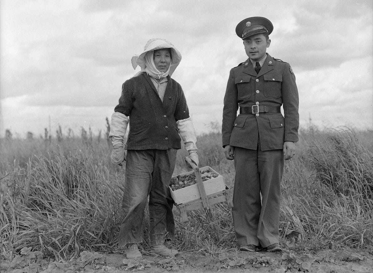 The Evacuation Diary of Hatsuye Egami