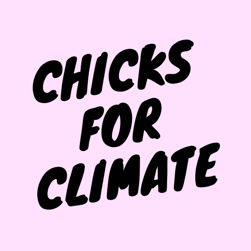 Artwork for Chicks for Climate