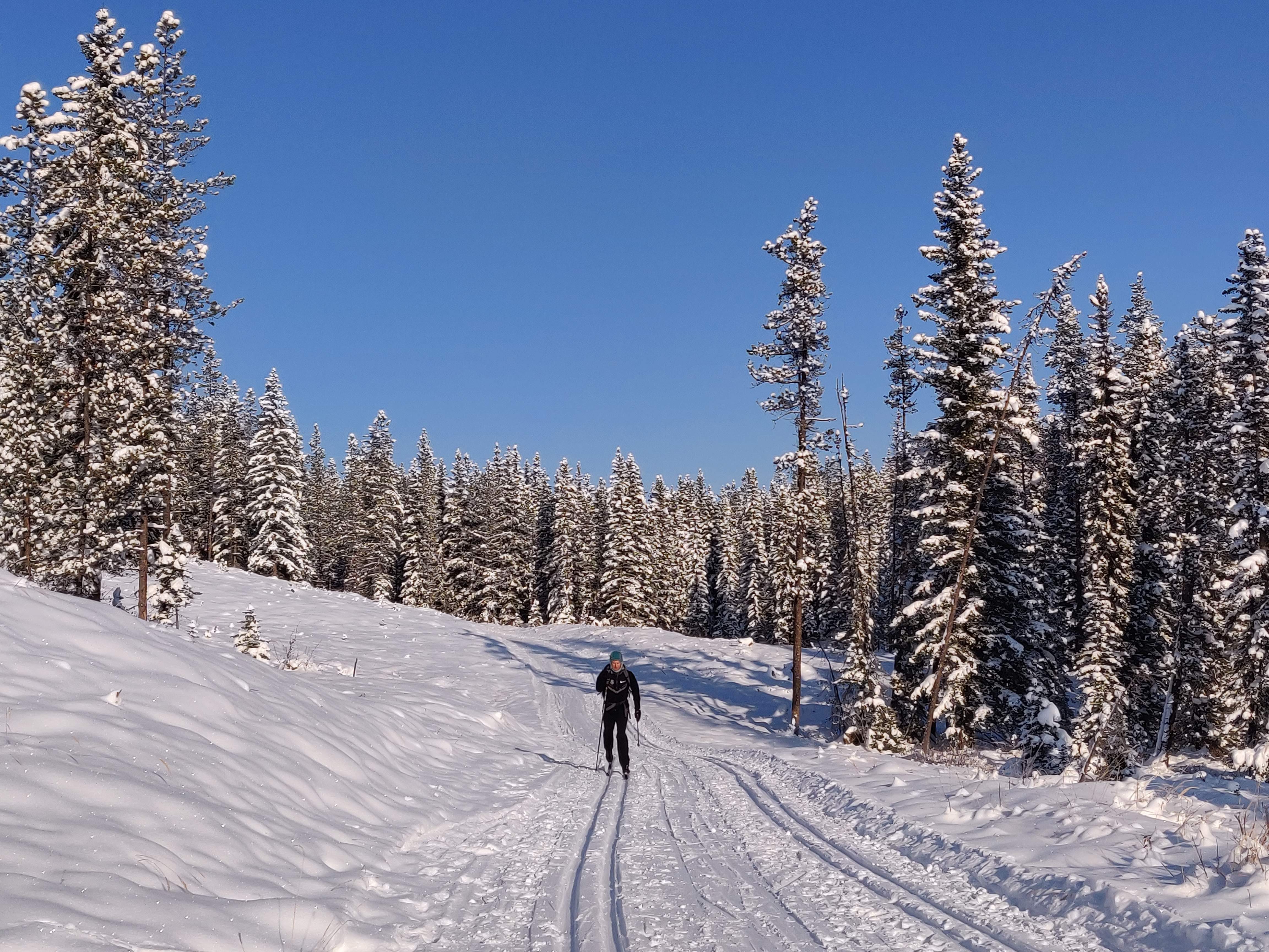 QandA Cross-Country Ski Tips for Beginners