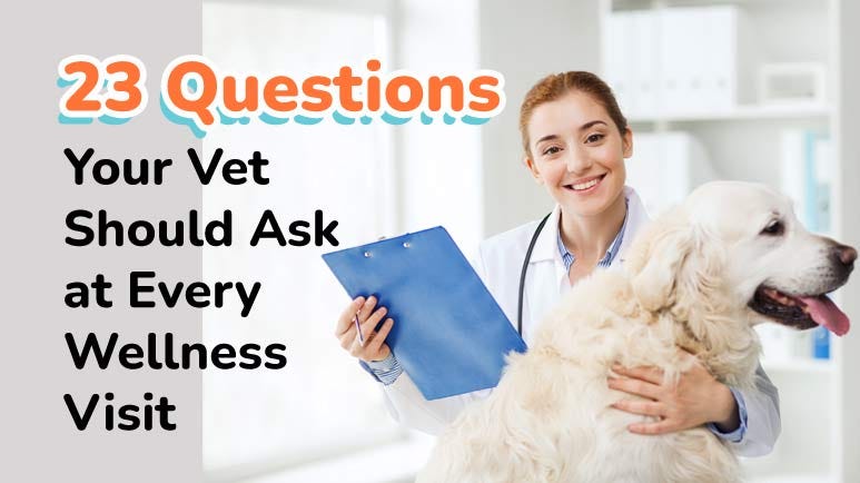 23 Questions Your Vet Should Ask At Every Wellness Visit