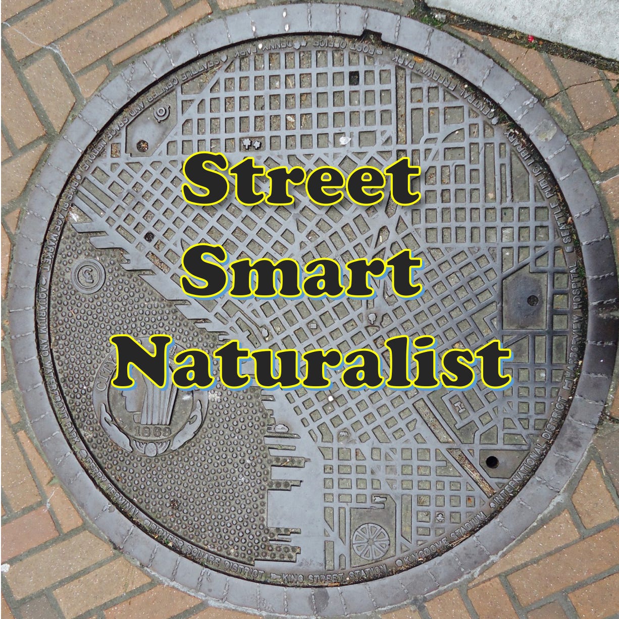 Artwork for Street Smart Naturalist: Explorations of the Urban Kind
