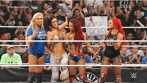 Becky Lynch NXT Women's Championship NXT TakeOver: Brooklyn WWE NXT Women  In WWE PNG, Clipart, Becky