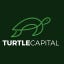 turtlecapital.substack.com