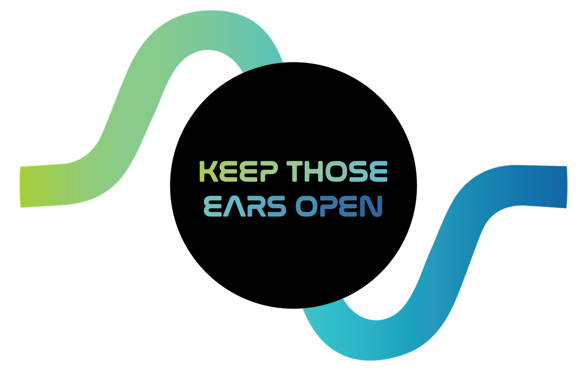 Boomerang Edition by Stefan Audio Vernacular