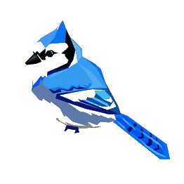 bluejay's song