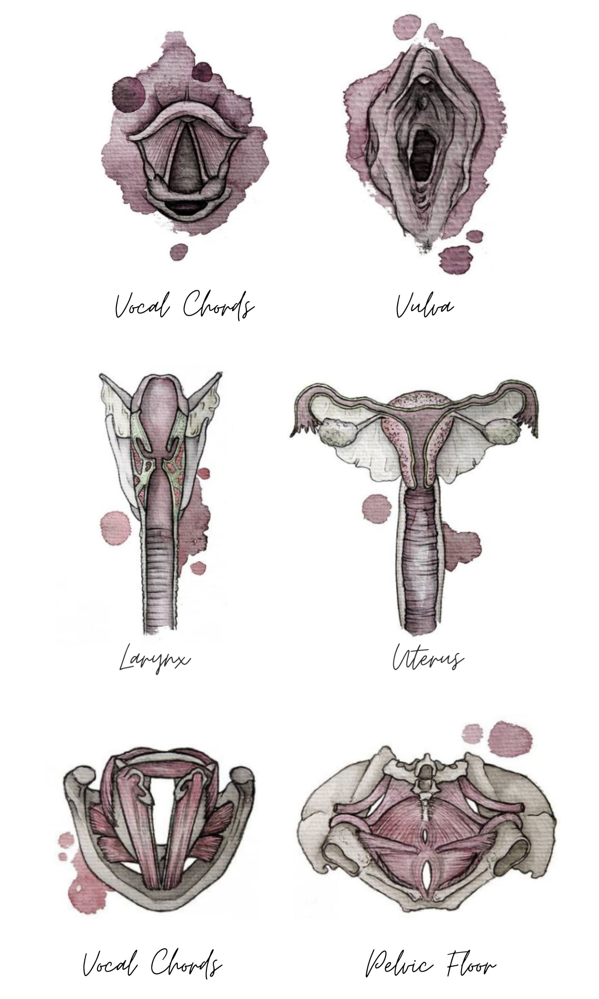 The womb + throat connection - by Christina Tasooji