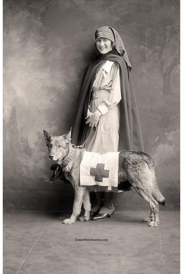 History American Red Cross Service Dogs