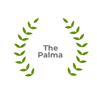 Artwork for The Palma