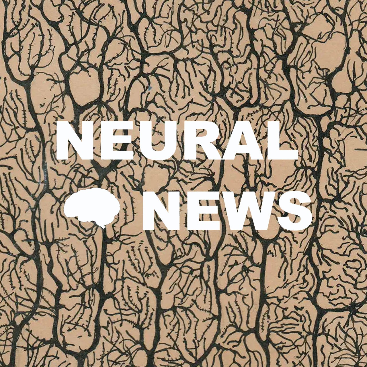 Artwork for Neural Newsletter