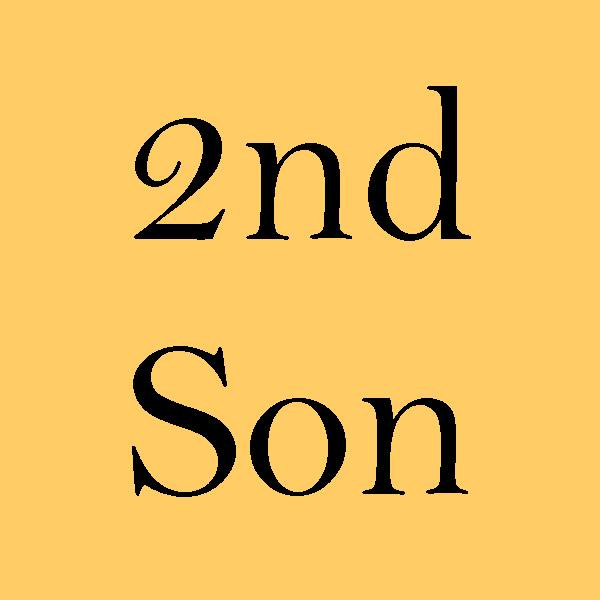 Artwork for The Second Son