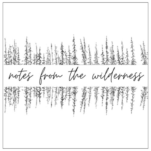 Notes From the Wilderness
