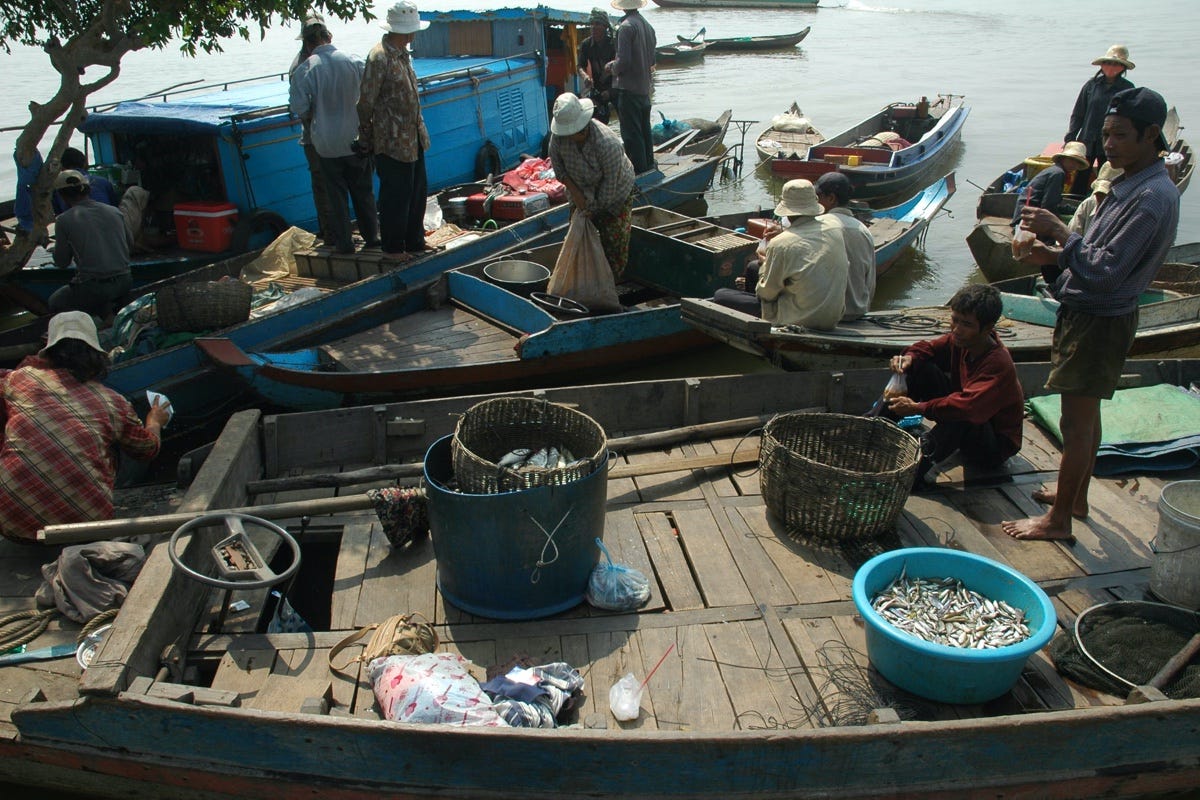 Commercial fishing: looking back to 1995