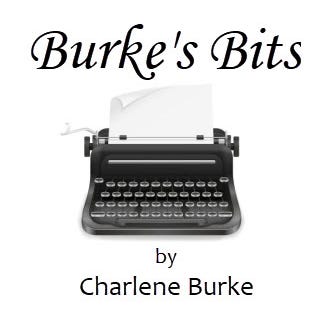 Burke's Bits logo