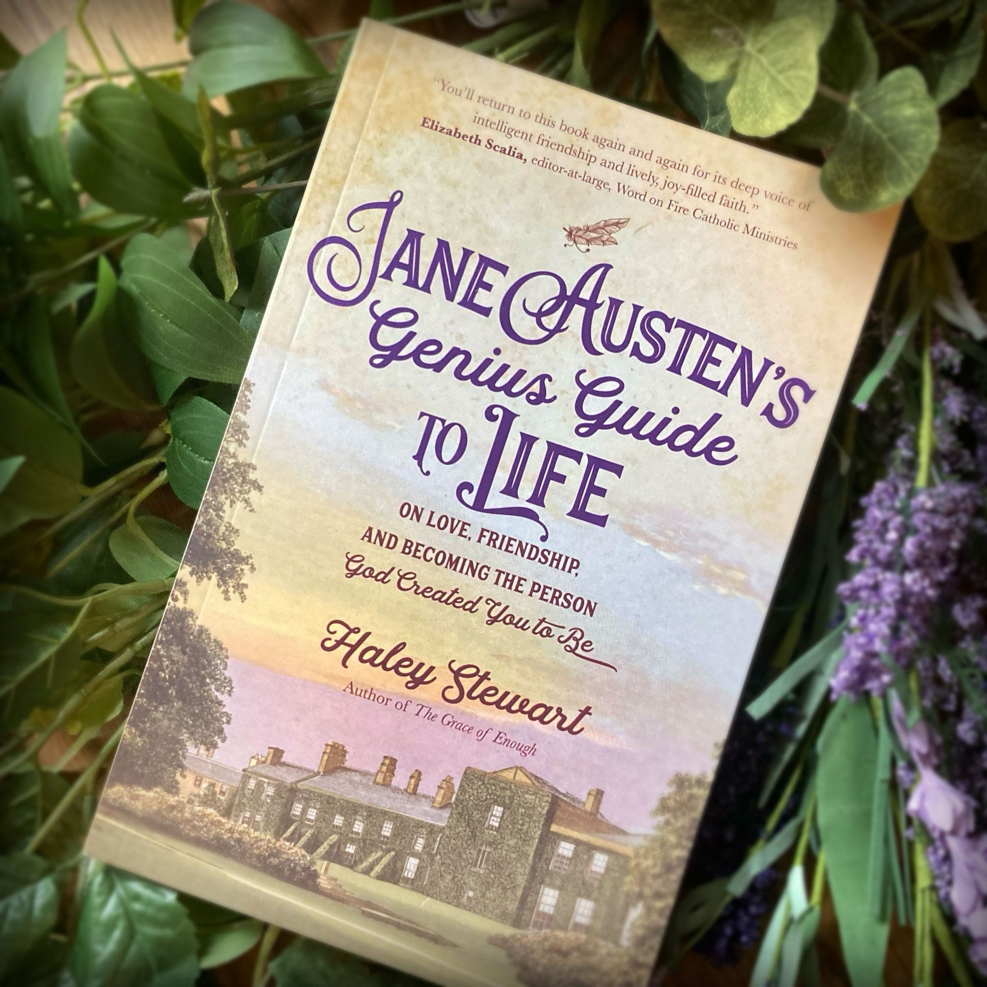 Jane Austen's Genius Guide to Life: On Love, Friendship, and