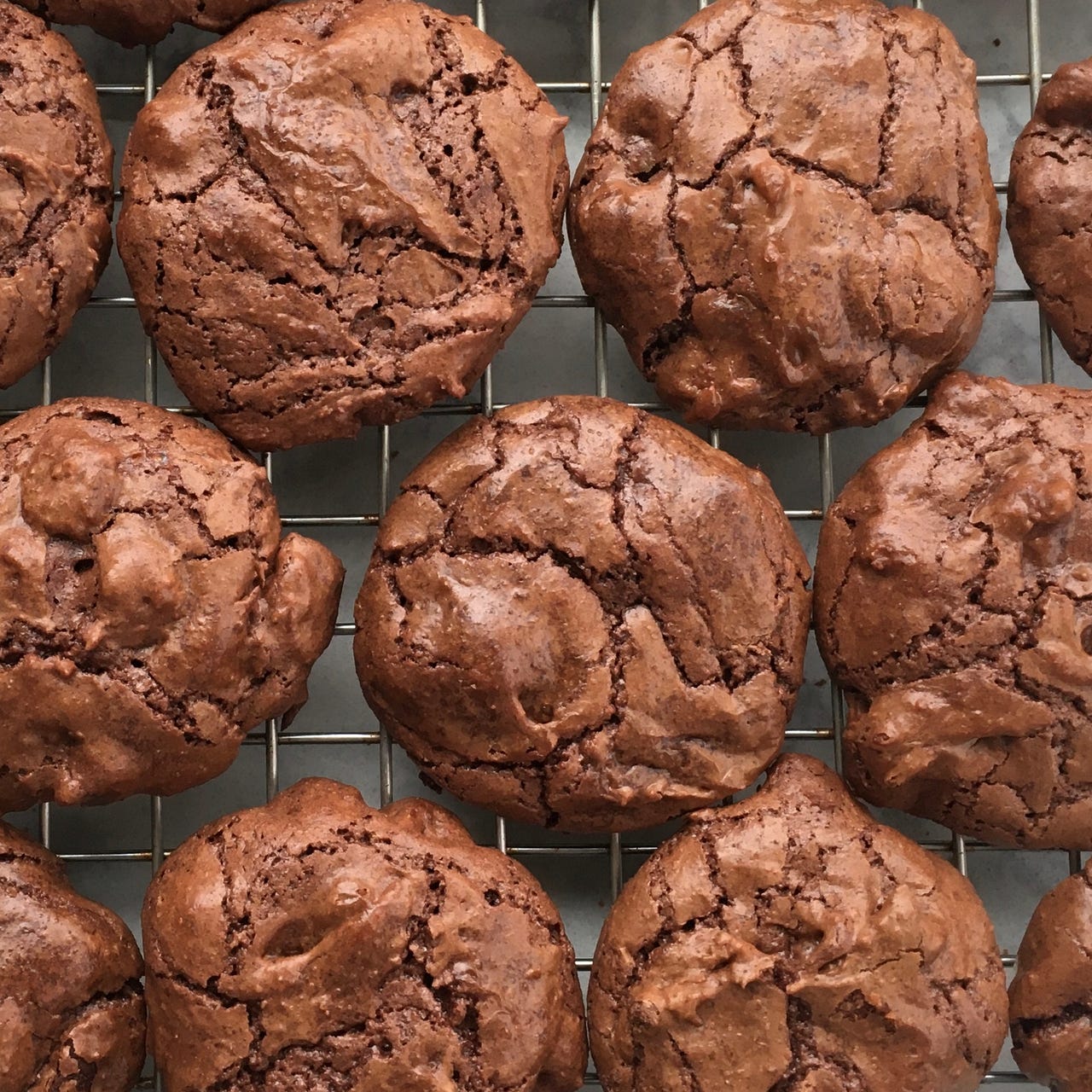 Marissa Rothkopf-Bakes: The Secret Life of Cookies 